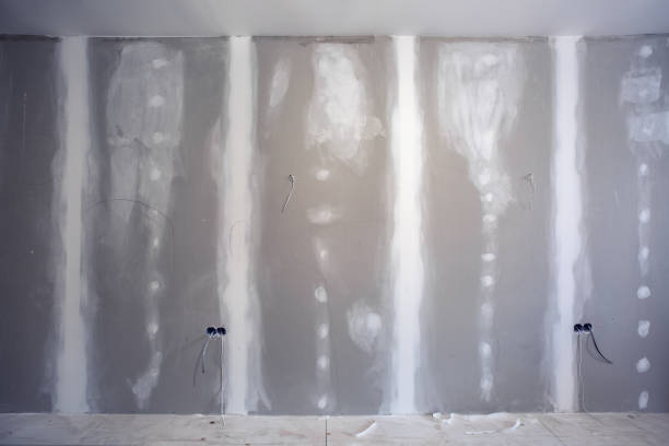 Reliable Coal City, IL Painting & Drywall Installation Solutions